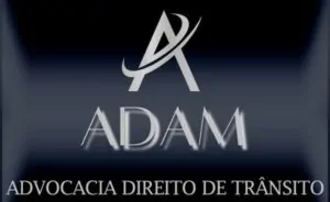 logo adam